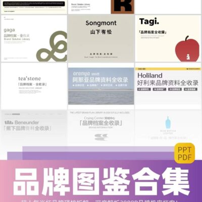 详细解析主播服务器号码