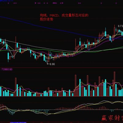 市场价格波动,需实时查询最新报价
