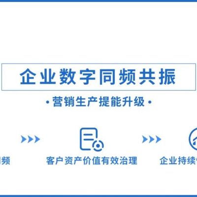 持续拓展数字化应用，引领产业创新升级