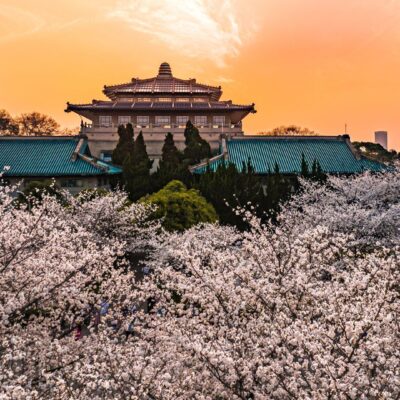 武汉大学云研究与应用取得重大进展