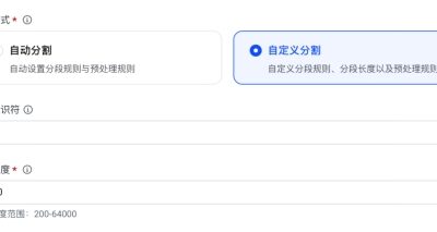 确保每个分段的内容简洁明了，突出重点。