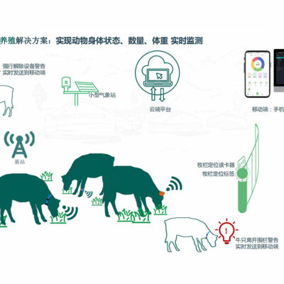 迈向智能时代：中国建筑集团在云端的巨大探索与发展