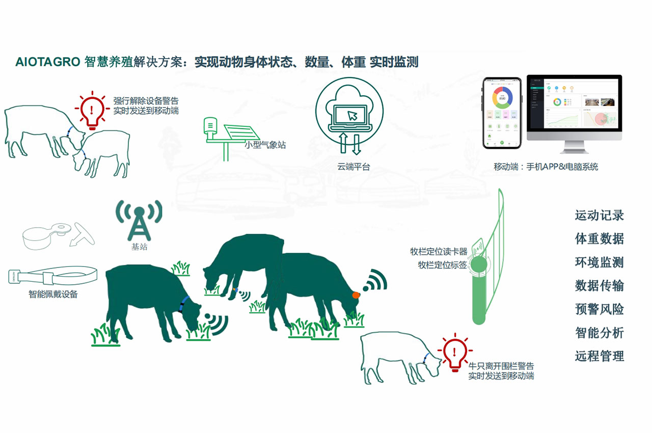 迈向智能时代