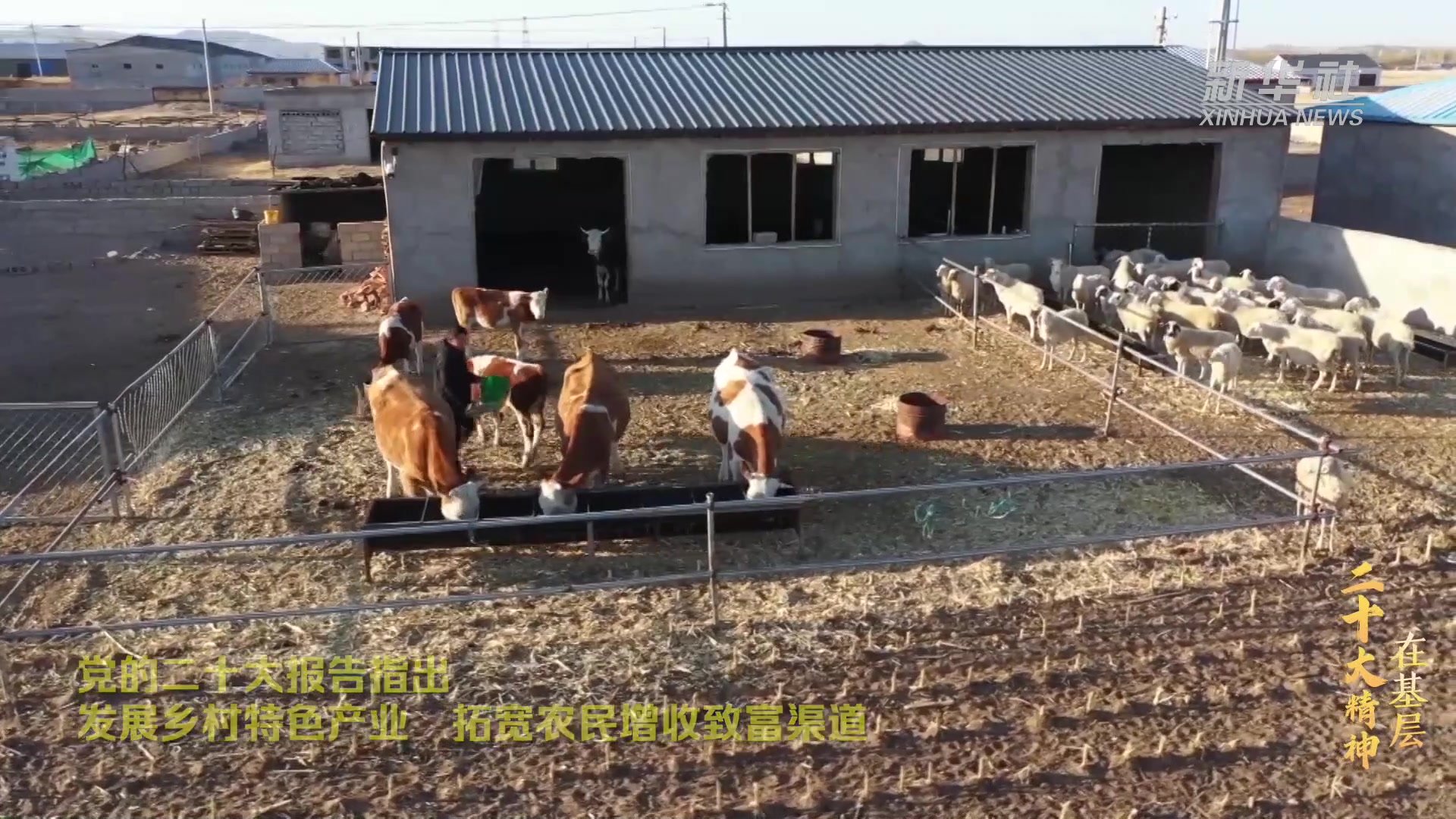 全面解析网易手游服务器数量及分布