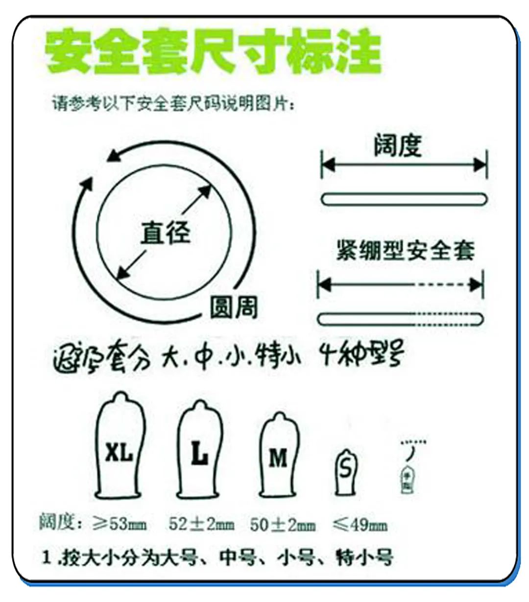 不同配置与套餐的价格概览
