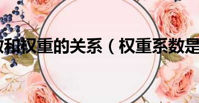 了解权重概念