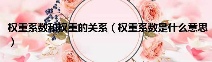 了解权重概念