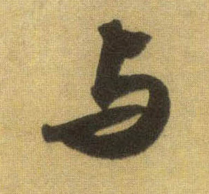 与数字时代共同前行，共创健康未来