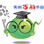 实用排版工具介绍与使用指南