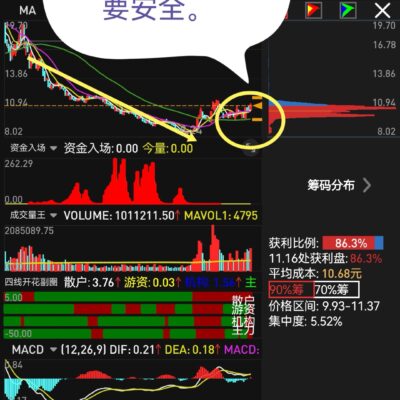 探寻最佳投资比例，企业决策者的关键考量