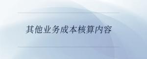 其他附加成本