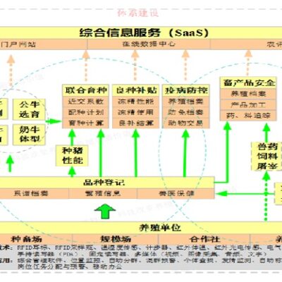 研究云服务对经济社会的影响及挑战