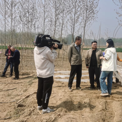 玉米服务器年度费用是多少？