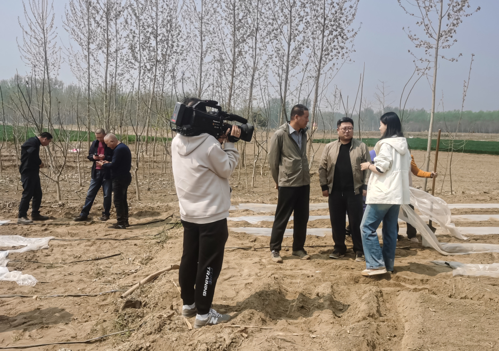 玉米服务器年度费用是多少