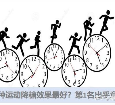 一步步指南揭秘制作网站在手机上进行的技巧与步骤
