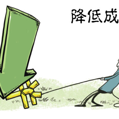 长期运营成本与维护费用