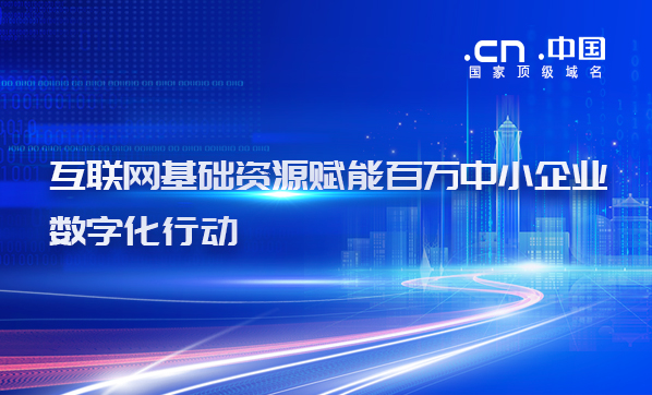解析中国互联网的发展瓶颈与挑战