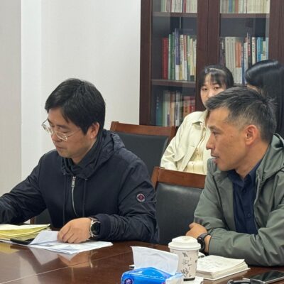 四、探讨中外运敦豪云的优势与挑战