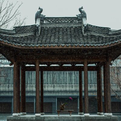 实用技巧与策略