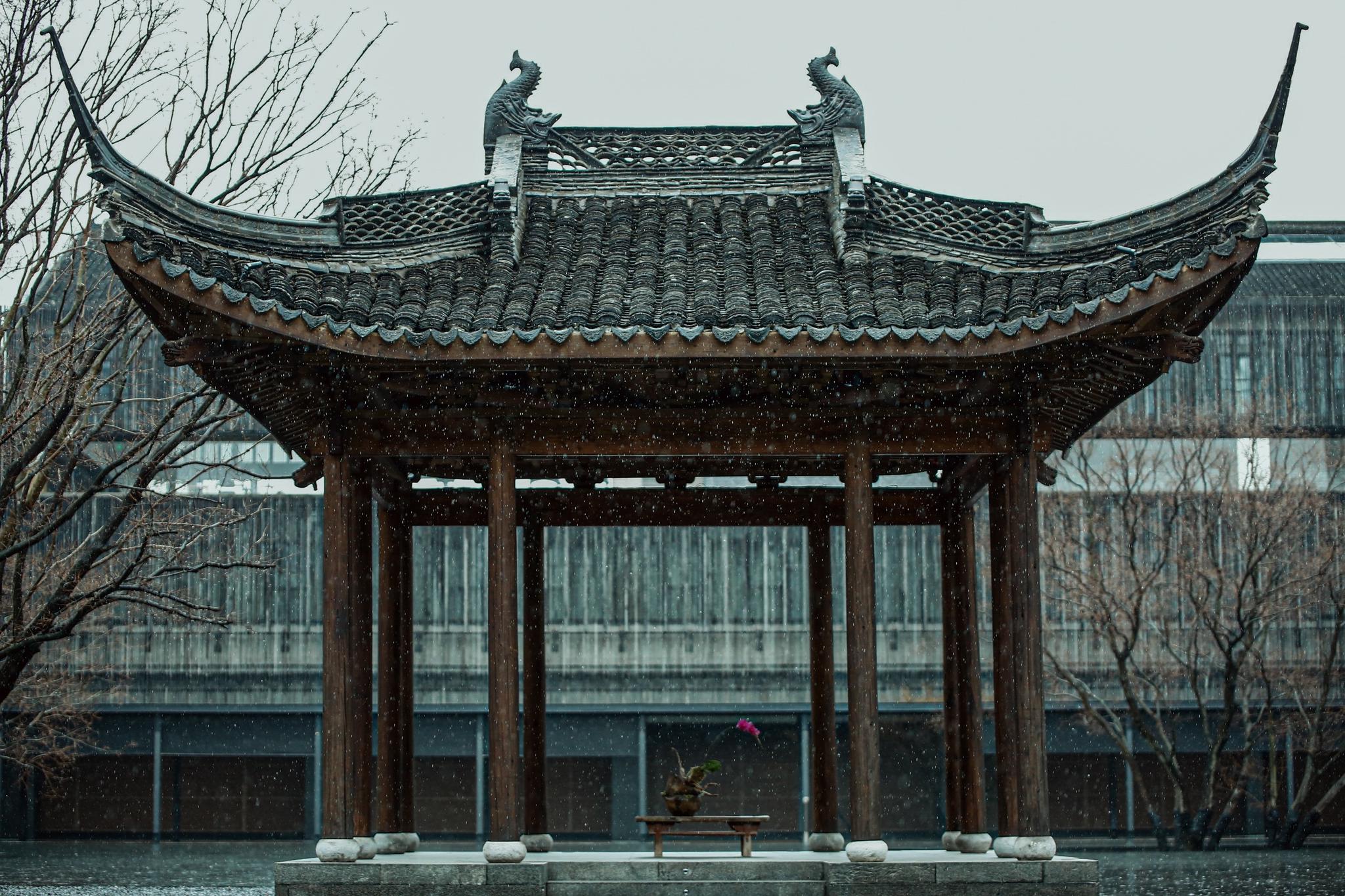 实用技巧与策略