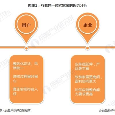其优势与劣势