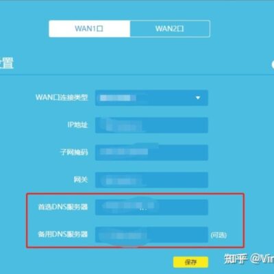 DNS地址设置的重要性及其影响。