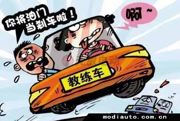 初学者也能快速掌握PS涂抹工具的使用方法