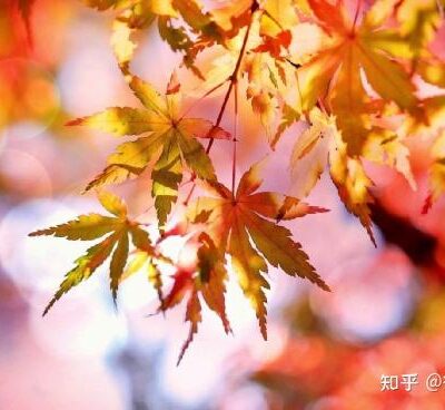 究竟它能持续多少年？