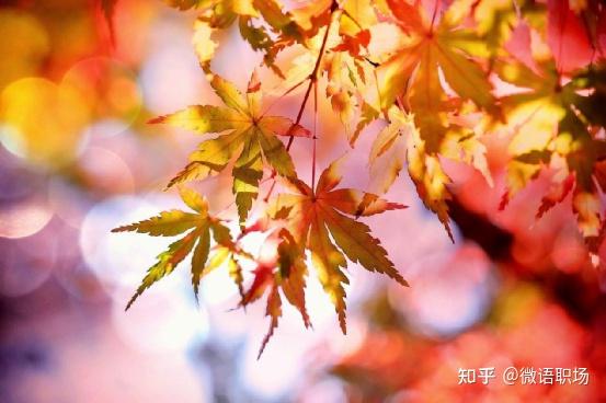 究竟它能持续多少年