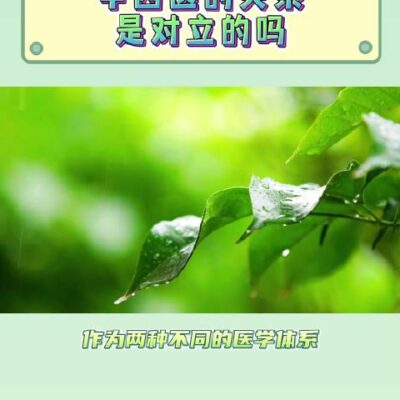 一、探寻中医药云端魅力
