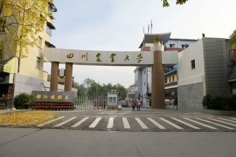 四川农业大学云助力农业现代化发展