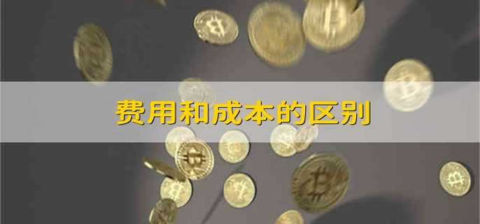 费用因素与预算考量