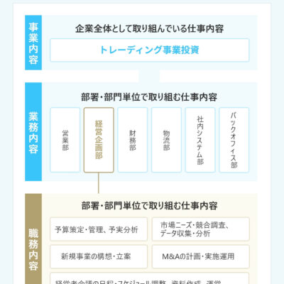 内容策略与开发