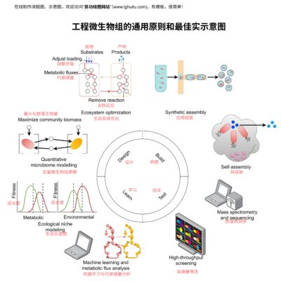 图层管理和混合模式进阶教程