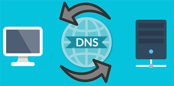 DNS服务器子网掩码的作用与设置