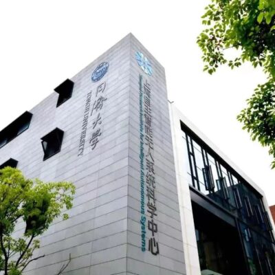 引领未来数字时代的先驱力量