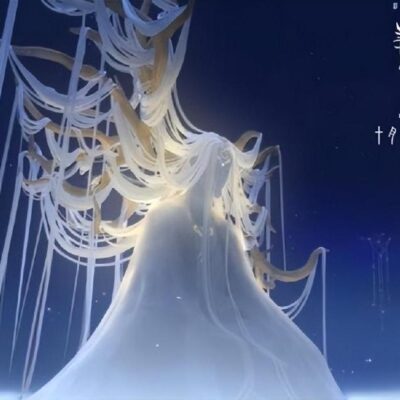 深度解析黑漫君服务器配置