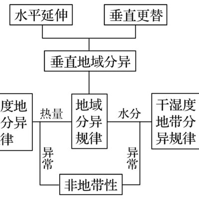 地域性差异与价格波动因素剖析