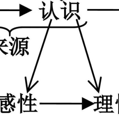 从策略到实践全方位解析