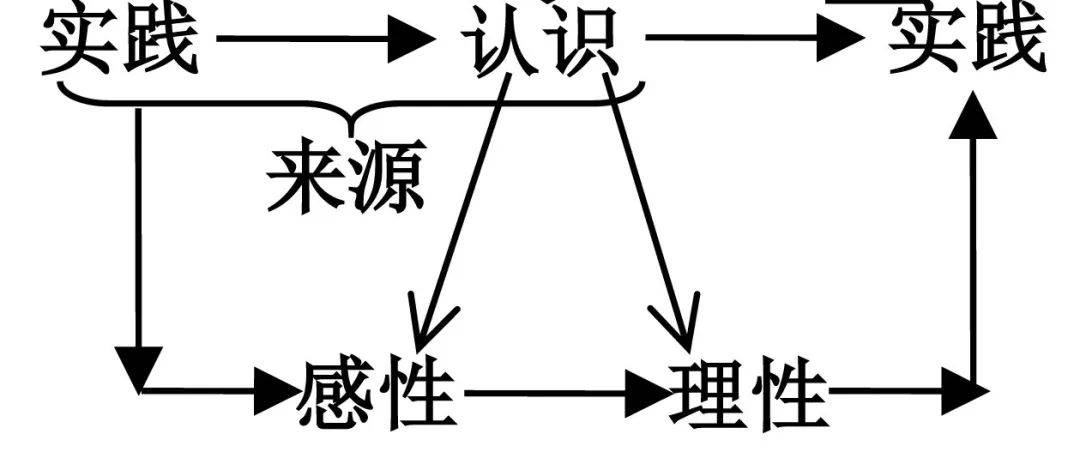 从策略到实践全方位解析