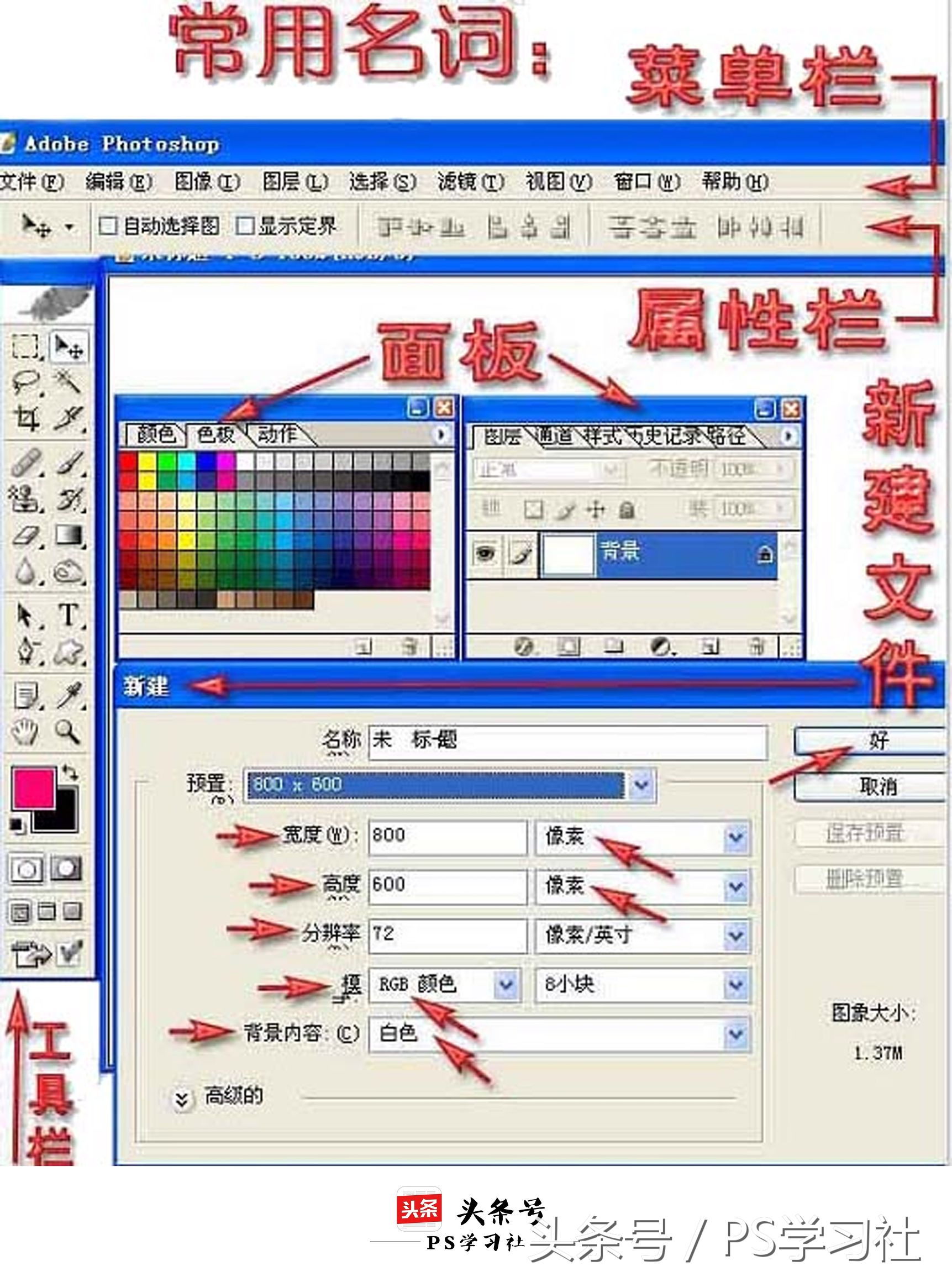 掌握PS工具