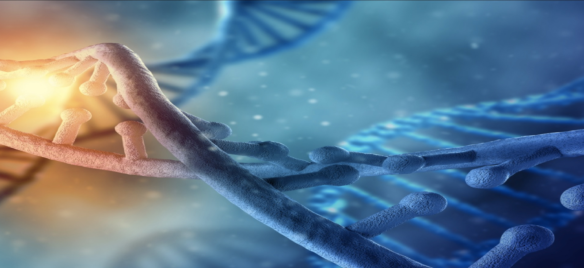 康希诺生物云揭秘新冠疫苗研制技术