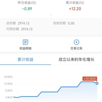 究竟多少钱？全面解析华为应用服务器的价格标签。