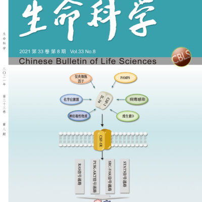 揭开生命科学云服务的神秘面纱