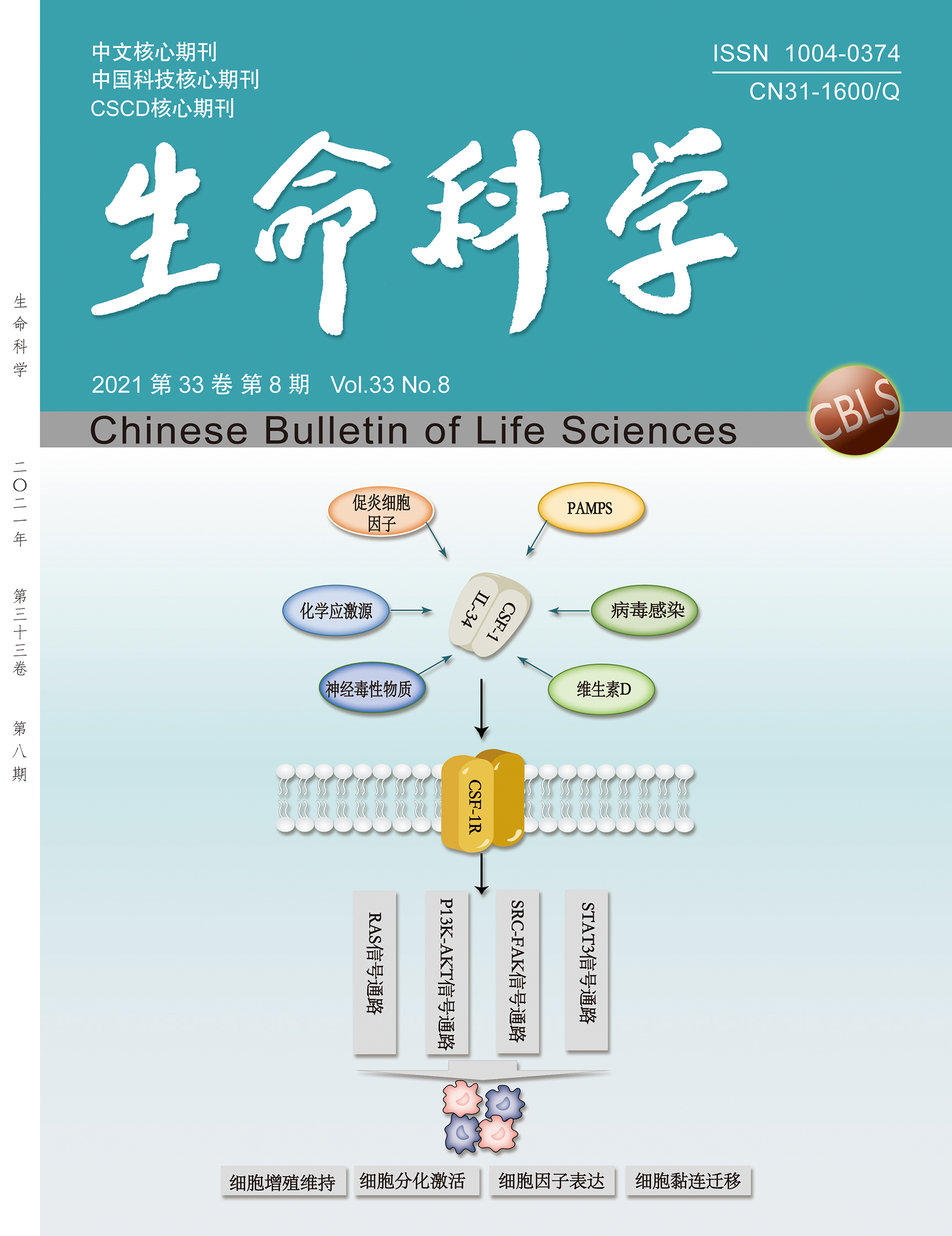 揭开生命科学云服务的神秘面纱