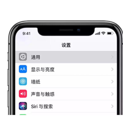 如何设置苹果手机中的域名？