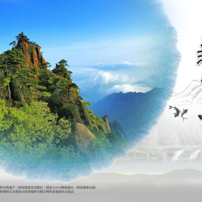 数字化旅游的新纪元，飞猪云引领未来趋势