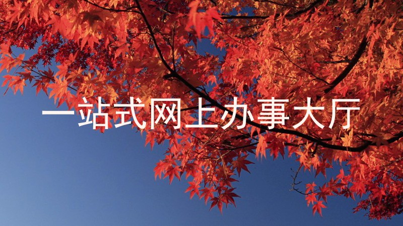 一站搞定