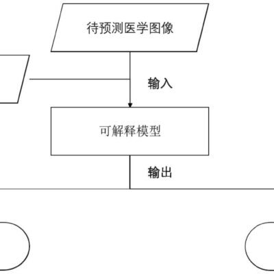 详细解析步骤和技巧
