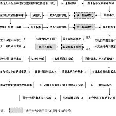 详细步骤及实用建议